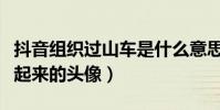 抖音组织过山车是什么意思(就是一个意外红起来的头像)