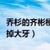 乔杉的齐彬梗怎么来的（知道真相后真的是笑掉大牙）