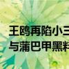 王鸥再陷小三风波（继刘恺威夜光剧本又被挖与蒲巴甲黑料）