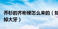 乔杉的齐彬梗怎么来的(知道真相后真的是笑掉大牙)