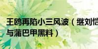 王鸥再陷小三风波(继刘恺威夜光剧本又被挖与蒲巴甲黑料)