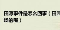 田源事件是怎么回事(田园出轨门最终如何收场的呢)