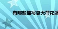有哪些描写夏天荷花盛开的诗句?