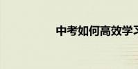 中考如何高效学习语文