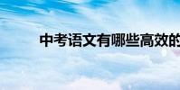 中考语文有哪些高效的学习方法?