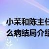 小茉和陈主任什么关系（乔家的儿女小茉有什么病结局介绍）