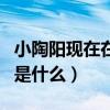 小陶阳现在在干什么（陶阳离开德云社的原因是什么）