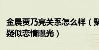 金晨贾乃亮关系怎么样(聚餐后同回酒店被拍疑似恋情曝光)