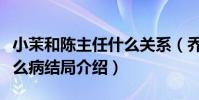 小茉和陈主任什么关系(乔家的儿女小茉有什么病结局介绍)