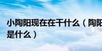小陶阳现在在干什么(陶阳离开德云社的原因是什么)