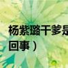 杨紫璐干爹是谁（杨紫璐的干爹门事件是怎么回事）