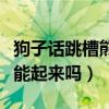 狗子话跳槽熊猫后回归斗鱼（这次他的人气还能起来吗）