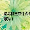 梁龙和王菲什么关系（二手玫瑰主唱梁龙个人资料感情现状曝光）