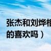 张杰和刘烨相比谁更厉害呢（谢娜对张杰是真的喜欢吗）