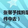 张馨予找狗是怎么回事（意外卷进林丹出轨事件中去）