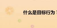 什么是目标行为?填空