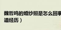 魏哲鸣的婚纱照是怎么回事(深扒魏哲鸣的出道经历)