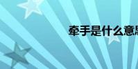 牵手是什么意思?