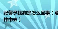 张馨予找狗是怎么回事(意外卷进林丹出轨事件中去)