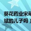 葵花药业宋萌萌是谁（宋萌萌是张晓兰和关彦斌的儿子吗）