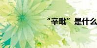 “辛毗”是什么意思