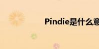 Pindie是什么意思?