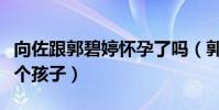 向佐跟郭碧婷怀孕了吗(郭碧婷采访称想要三个孩子)