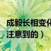 成毅长相变化很大吗（成毅是怎么走红被大众注意到的）