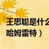 王思聪是什么样的人物（一千个人眼里一千个哈姆雷特）