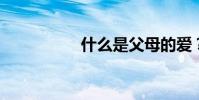 什么是父母的爱?填空