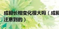 成毅长相变化很大吗(成毅是怎么走红被大众注意到的)