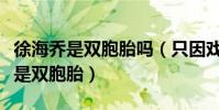 徐海乔是双胞胎吗(只因戏演的太所以才被说是双胞胎)