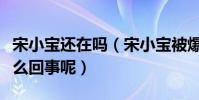 宋小宝还在吗(宋小宝被爆料没抢救过来是怎么回事呢)