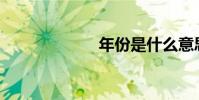 年份是什么意思?