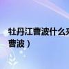 牡丹江曹波什么来头（牡丹江四大黑老大排名榜首竟是首富曹波）