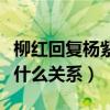 柳红回复杨紫说了什么（陈莹和杨紫私下里是什么关系）