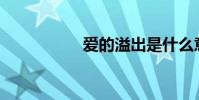 爱的溢出是什么意思?