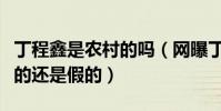 丁程鑫是农村的吗(网曝丁程鑫家境贫苦是真的还是假的)