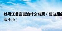 牡丹江首富曹波什么背景(曹波后台是谁曹波简历被曝光来头不小)