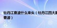 牡丹江曹波什么来头(牡丹江四大黑老大排名榜首竟是首富曹波)