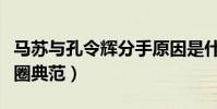 马苏与孔令辉分手原因是什么(两人曾是娱乐圈典范)