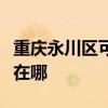 重庆永川区可提供澳柯玛电暖器维修服务地址在哪