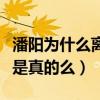 潘阳为什么离了婚（网传潘阳的老公是渣男这是真的么）