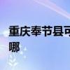 重庆奉节县可提供志高电暖器维修服务地址在哪