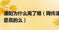 潘阳为什么离了婚(网传潘阳的老公是渣男这是真的么)