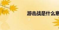 游击战是什么意思?