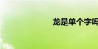 龙是单个字吗?
