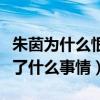 朱茵为什么恨周星驰（朱茵和周星驰之间发生了什么事情）