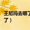 王尼玛去哪了（家喻户晓的他如今为什么消失了）
