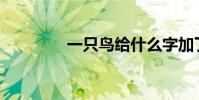一只鸟给什么字加了一笔?